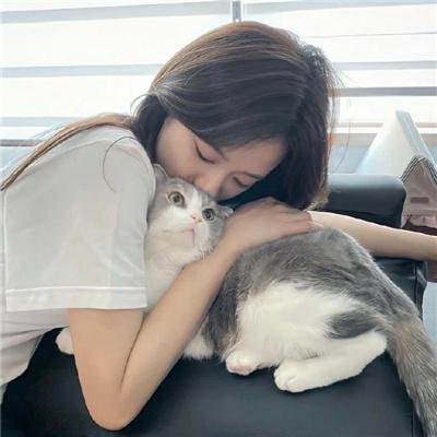寻狗启事